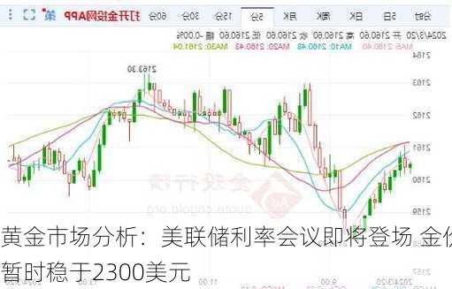 黄金市场分析：美联储利率会议即将登场 金价暂时稳于2300美元