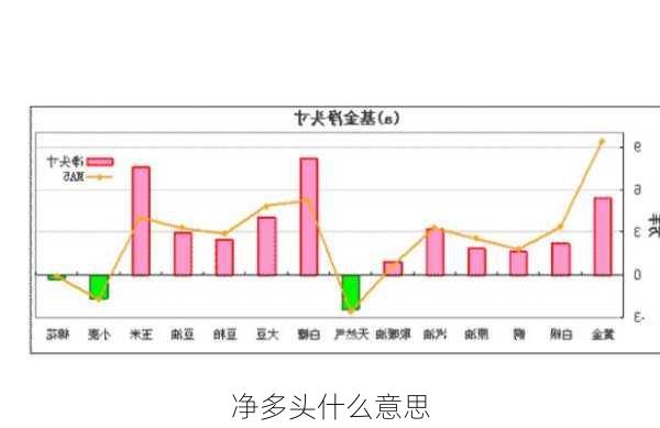 净多头什么意思