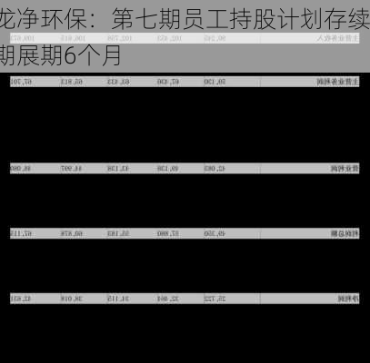 龙净环保：第七期员工持股计划存续期展期6个月