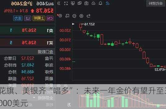 花旗、美银齐“唱多”：未来一年金价有望升至3000美元