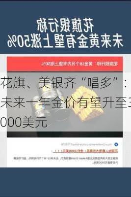 花旗、美银齐“唱多”：未来一年金价有望升至3000美元