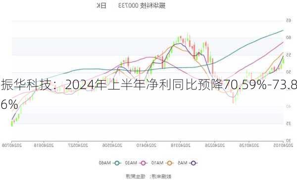 振华科技：2024年上半年净利同比预降70.59%-73.86%