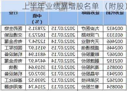 上半年业绩暴增股名单 （附股）