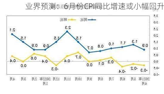 业界预测：6月份CPI同比增速或小幅回升