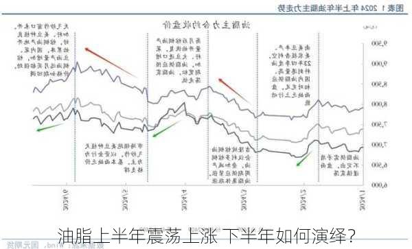 油脂上半年震荡上涨 下半年如何演绎？