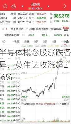 半导体概念股涨跌各异，英伟达收涨超2.6%