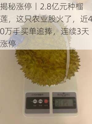 揭秘涨停丨2.8亿元种榴莲，这只农业股火了，近40万手买单追捧，连续3天涨停