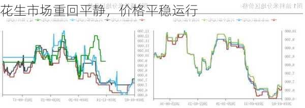 花生市场重回平静，价格平稳运行