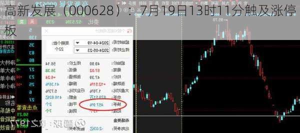 高新发展（000628）：7月19日13时11分触及涨停板