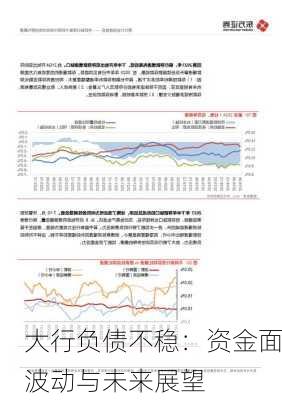 大行负债不稳：资金面波动与未来展望