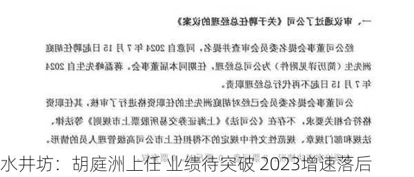 水井坊：胡庭洲上任 业绩待突破 2023增速落后