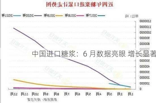 中国进口糖浆：6 月数据亮眼 增长显著