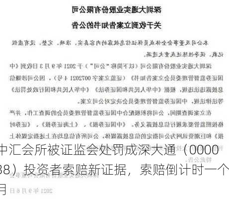 中汇会所被证监会处罚成深大通（000038）投资者索赔新证据，索赔倒计时一个月