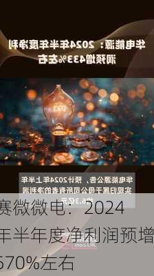 赛微微电：2024年半年度净利润预增570%左右