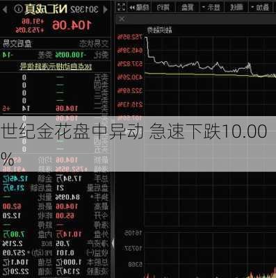 世纪金花盘中异动 急速下跌10.00%