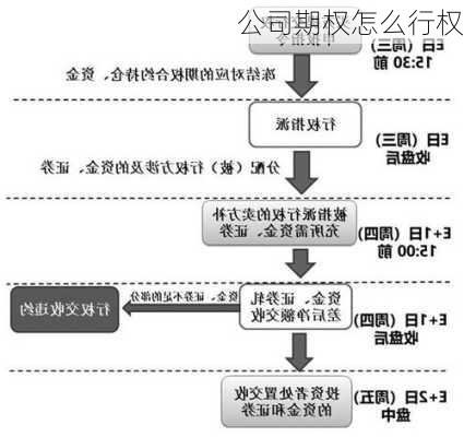 公司期权怎么行权