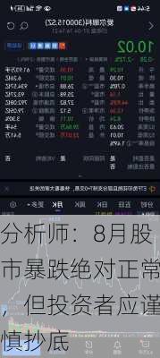 分析师：8月股市暴跌绝对正常，但投资者应谨慎抄底