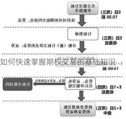 如何快速掌握期权交易的基础知识