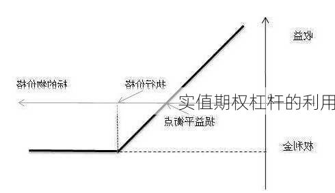 实值期权杠杆的利用