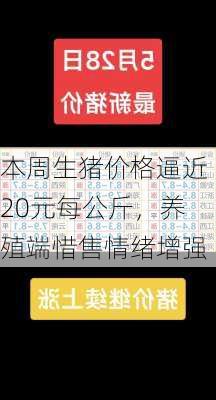 本周生猪价格逼近20元每公斤，养殖端惜售情绪增强