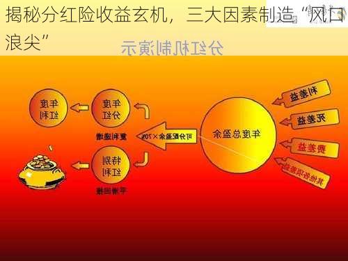 揭秘分红险收益玄机，三大因素制造“风口浪尖”