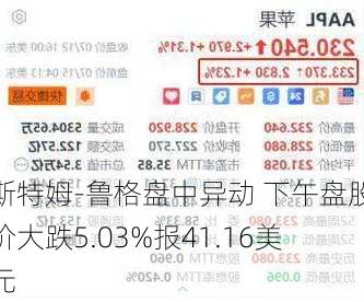 斯特姆-鲁格盘中异动 下午盘股价大跌5.03%报41.16美元