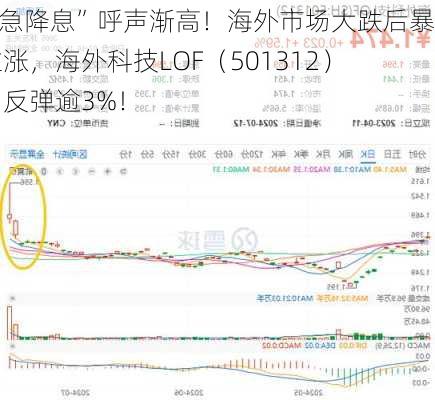 “紧急降息”呼声渐高！海外市场大跌后暴力拉涨，海外科技LOF（501312）场内反弹逾3%！