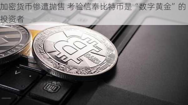 加密货币惨遭抛售 考验信奉比特币是“数字黄金”的投资者