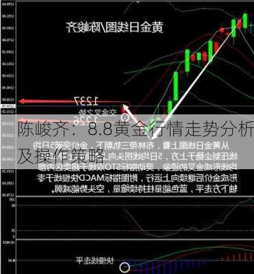 陈峻齐：8.8黄金行情走势分析及操作策略