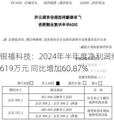 银禧科技：2024年半年度净利润约2619万元 同比增加60.87%