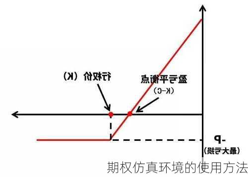 期权仿真环境的使用方法