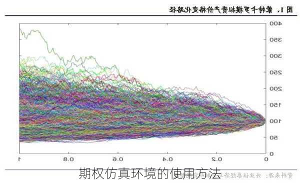 期权仿真环境的使用方法