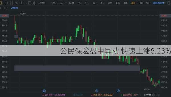 公民保险盘中异动 快速上涨6.23%