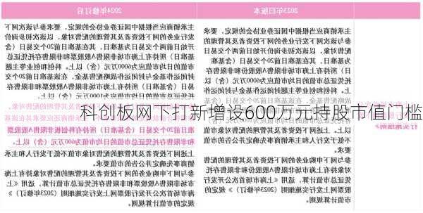 科创板网下打新增设600万元持股市值门槛