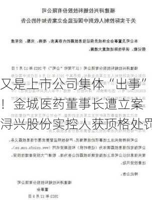 又是上市公司集体“出事”！金城医药董事长遭立案 浔兴股份实控人获顶格处罚