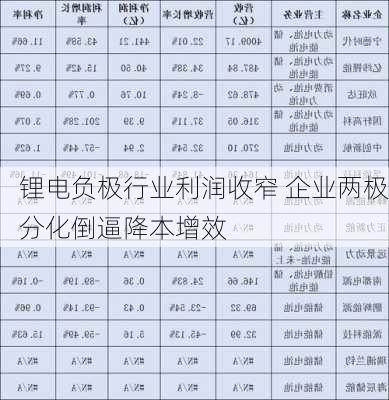 锂电负极行业利润收窄 企业两极分化倒逼降本增效