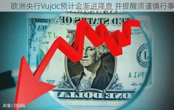 欧洲央行Vujcic预计会渐进降息 并提醒须谨慎行事