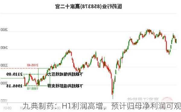 九典制药：H1利润高增，预计归母净利润可观