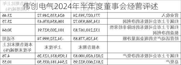 伟创电气2024年半年度董事会经营评述