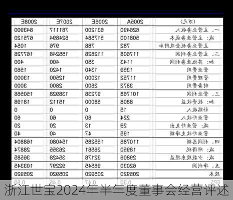 浙江世宝2024年半年度董事会经营评述