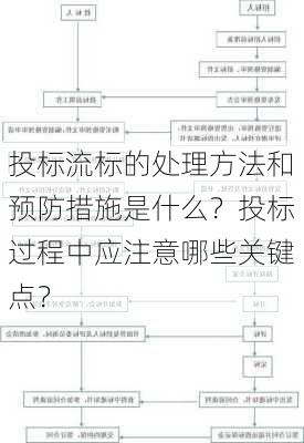 投标流标的处理方法和预防措施是什么？投标过程中应注意哪些关键点？