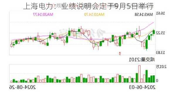 上海电力：业绩说明会定于9月5日举行