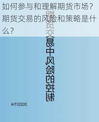 如何参与和理解期货市场？期货交易的风险和策略是什么？