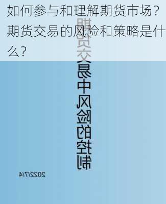 如何参与和理解期货市场？期货交易的风险和策略是什么？