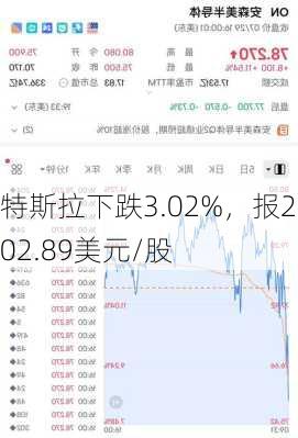 特斯拉下跌3.02%，报202.89美元/股