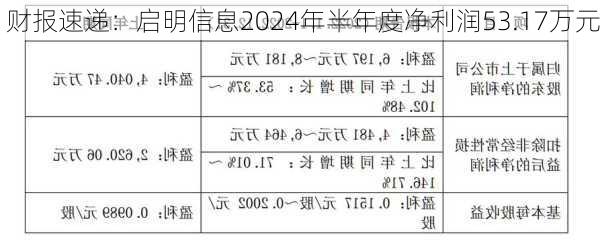 财报速递：启明信息2024年半年度净利润53.17万元