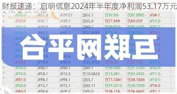 财报速递：启明信息2024年半年度净利润53.17万元