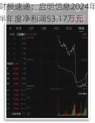 财报速递：启明信息2024年半年度净利润53.17万元