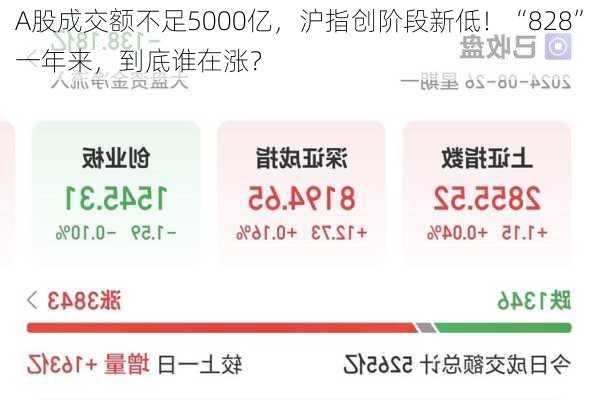 A股成交额不足5000亿，沪指创阶段新低！“828”一年来，到底谁在涨？