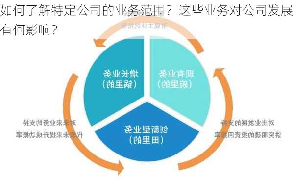 如何了解特定公司的业务范围？这些业务对公司发展有何影响？